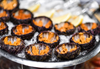 Closeup of plate with sea urchin on ice