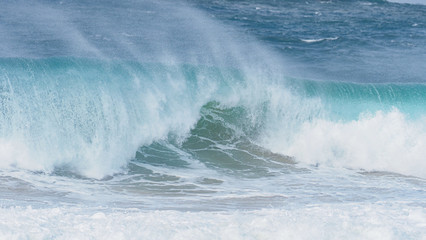 Large Surf/Wave