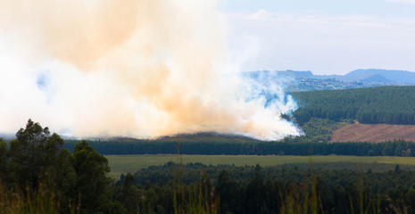 Smoke from wildfire over agricultural landscape, Mpumalange province  South Africa