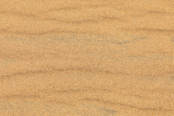 Fototapeta na wymiar Beach sand dune of background. Sand nature texture, copy space