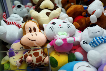 Fototapeta na wymiar Various Cute stuffed animals in the claw crane machine