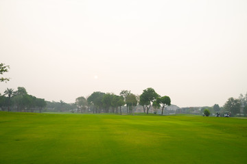 Golfers are about to play golf on bright green grass