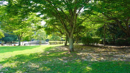 Naklejka premium 長谷ダム記念公園