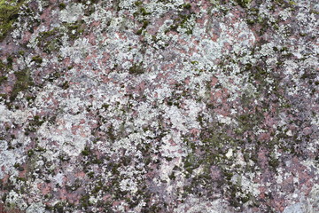 Lichen-covered granite boulder texture