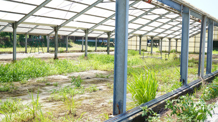 荒れたビニールハウス