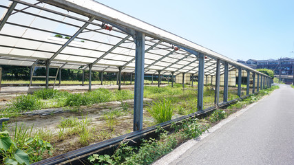 Obraz premium 荒れたビニールハウス