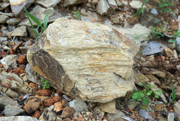 Shale is sedimentary rock in the nature.