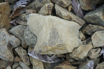 Shale is sedimentary rock in the nature.