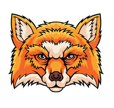 Fox head.	