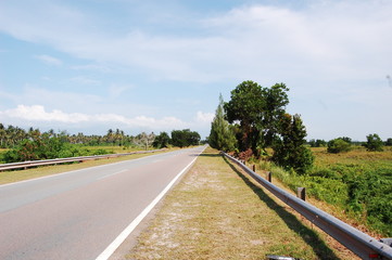 Fototapeta na wymiar 東南アジアのマレーシアの田舎にある草原の風景と青い空と道路と白いガードレール