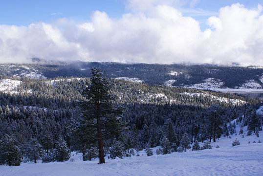 Amador County In The Winter