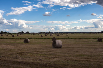 The end of the hay on the flood plains