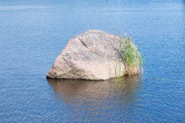 Alone granite stone or rock with green reed or cane among blue waves of water of sea or ocean gulf or creek