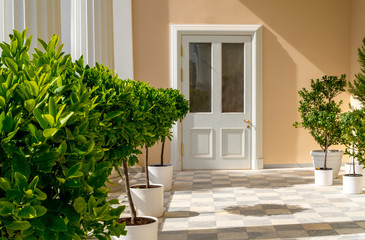 The entrance to the building is decorated with floor tiles, citrus trees in flower pots and...