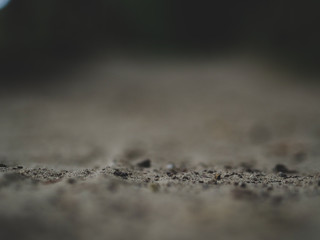 Fototapeta Drobinki piasku i ziemi obraz
