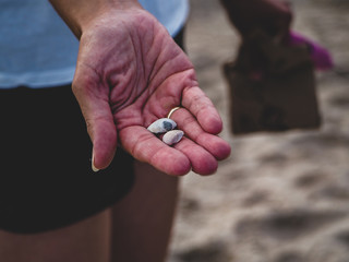 Muszelki na dłoni © Adam