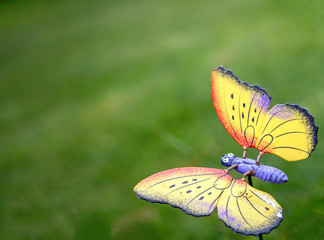 artificial butterfly on the green gross background
