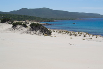 Fototapeta na wymiar Veduta delle dune e della spiaggia di Arenas Biancas