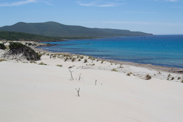 Veduta delle dune e della spiaggia di Arenas Biancas