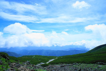 SONY DSC