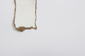 pieces of torn paper texture background and have copy space for design in your work.