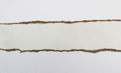 pieces of torn paper texture background and have copy space for design in your work.