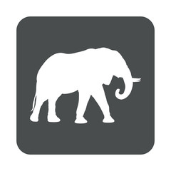 Fauna africana. Silueta de elefante africano en cuadrado color gris