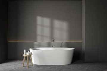 Grey bathroom interior with tub