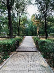 path in the park