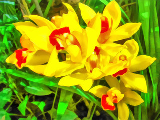 Digital painting - illustration. Natural landscape. Bright, yellow inflorescence of orchids