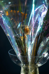 Dead flower in a vase decaying plastic wrap rainbow colors dark background closeup. Glass...
