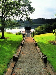 Lake boardwalk