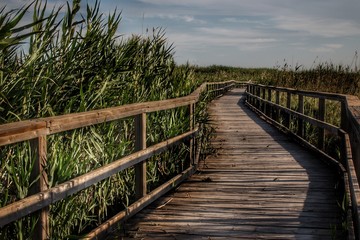 Obraz premium A path beside The sea