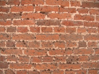 Fototapeta premium old brick wall background texture