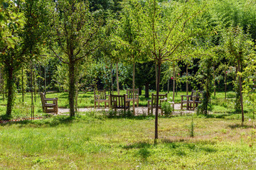 Chairs and apple trees in beautiful Albert Kahn Rose garden- Boulogne-Billancourt near Paris - France