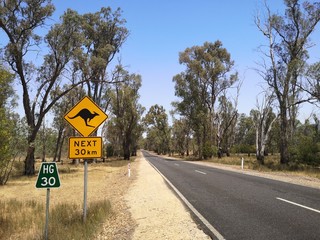 Känguru Verkehrsschild Next 30 km, Halls Gap, Grampians, Australien