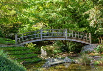 Fototapeta na wymiar Wooden japanese bridge and pond in beautiful Albert Kahn Japanese garden in summer - Boulogne-Billancourt near Paris, France