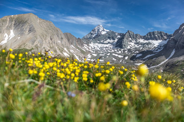 Fototapeta premium Großglockner