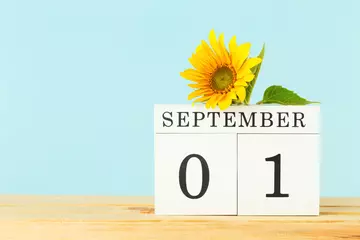Rolgordijnen Wooden calendar on table. 1 September and a yellow sunflower flower on wooden table, copy space. Hello autumn or fall concept © taniasv