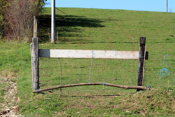 Improvised makeshift homemade backyard entrance doors made from combination of wooden boards and poles filled with plastic mesh surrounded with freshly cut grass and dense bushes on clear blue sky bac