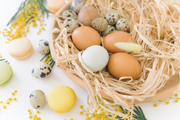 Colorful macaroons, chicken and quail eggs in nest, branches of mimosa on white background. Easter holiday concept. Top view.