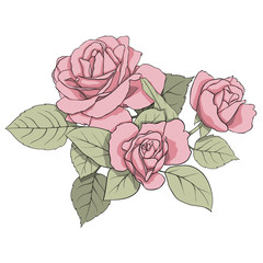 Сomposition of delicate pink roses and green leaves. Illustration for creating cards, decoration, decoration, prints, wedding invitations, etc.