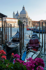 Venezia. Stazio con gondole verso La Salute © Guido