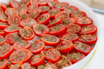 Tomatoes in the vegetable dryer. Sun-dried tomatoes in a vegetable dryer. Tomatoes are oiled, spiced and cooked to dry.