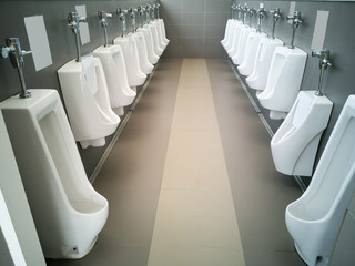 public toilet room - comfort male Toilet Urinal, white urinals in public toilet,Restroom ,Water Closet.