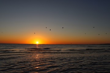 Fototapeta na wymiar Sunrise with birds 