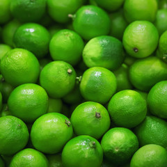 Many fruits of green ripe refreshing limes are lying in the grocery store. A rich harvest of fruit. The fruit used to create the Mojito.