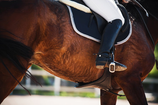 A rider sits in the saddle on a chestnut sports racehorse. The horse gallops quickly, illuminated by the sunlight, its tail flapping in the wind. Horseback riding. Equestrian competitions.