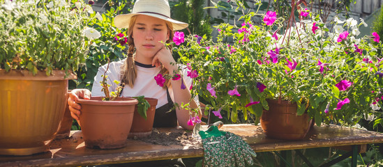 Gardening Girl replanting green pasture in home garden Workplace home among plants in the home garden ,agriculture, the concept of freelance, work at home, a cozy place, slow life, mood