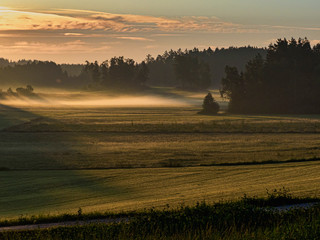 Fototapeta premium Morgennebel im Waldviertel Rappottenstein Niederösterreich Österreich